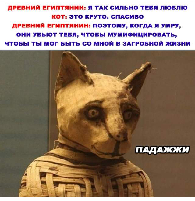 Баянисто-небаянистый юмор 14.05.21