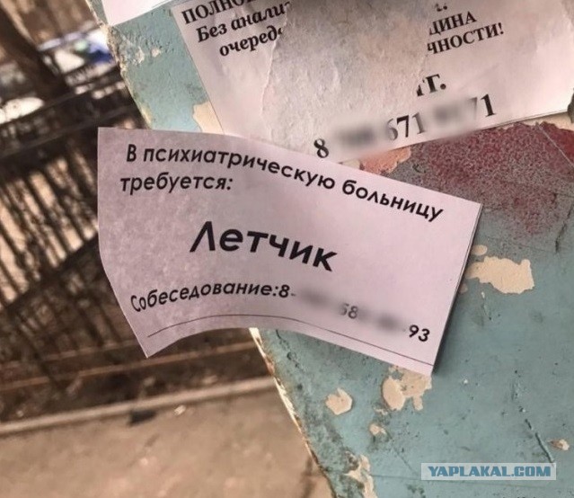 Прикольные фото к субботе