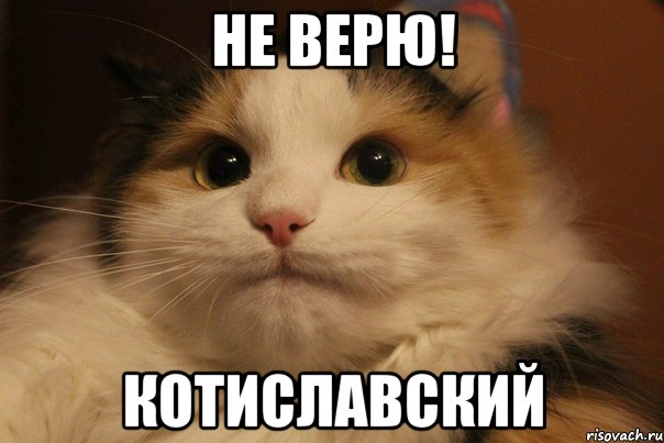 В Беларуси у пенсионера конфисковали $61 тыс. за вход в зеленый коридор таможни