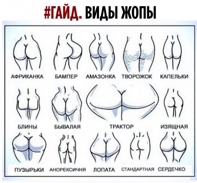 Всяческие картинки 15.12.2021
