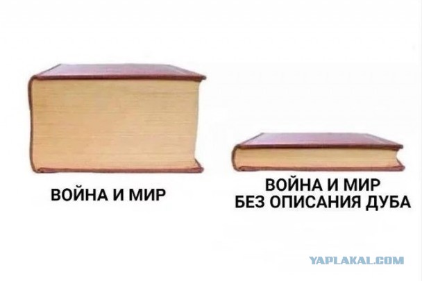 Аморальная деградация