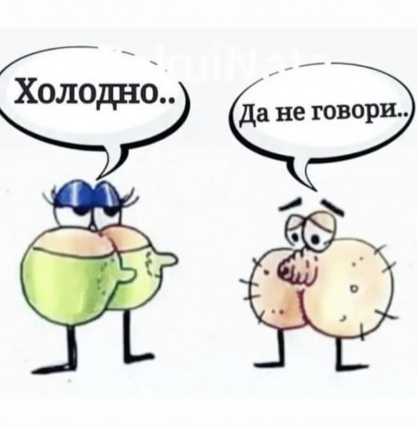 Весёлый полтишок 27.12