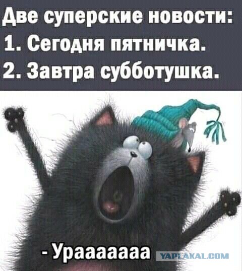 Что происходит с публикой ЯПа?