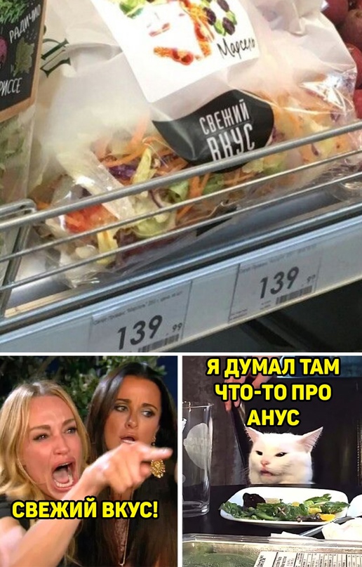 Весёлый полтишок 08.08.22