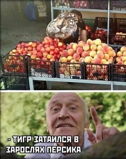 Так себе картинки 10.10.22
