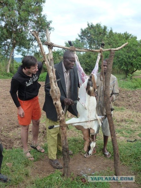 AFRICA - (Эфиопия,Кения,Танзация) 4-16 ноября 2011