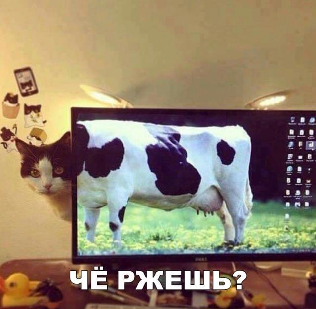 Так себе картинки 26.02.23