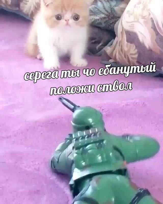 Всего понемногу. От 27.03