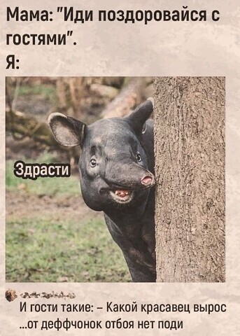 Папин бродяга,мамин симпатяга...⁠⁠