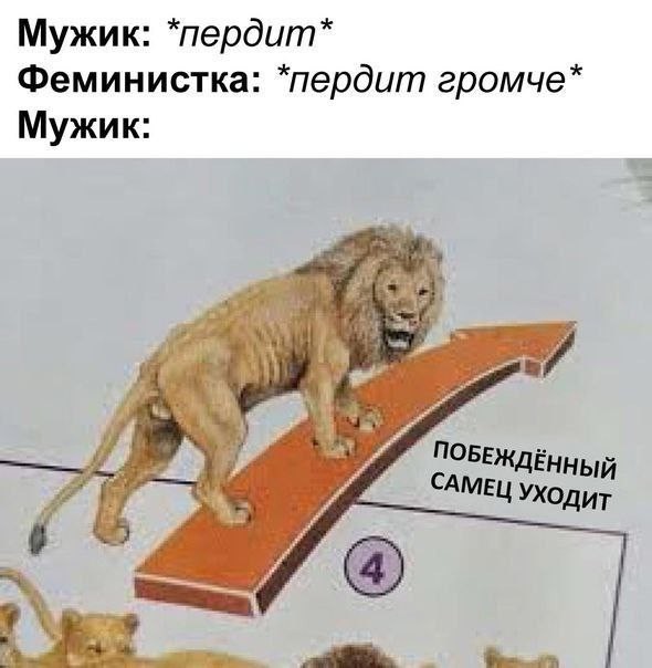 Всего понемногу, от 21.05