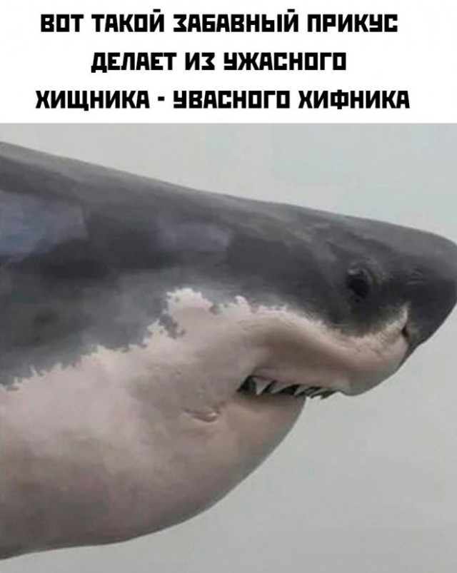 Картинки и мемы для настроения - 187
