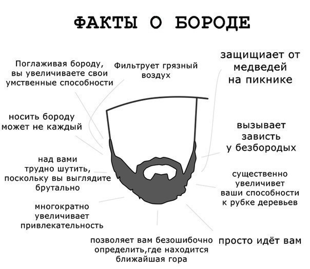 «Решил я как-то сбрить бороду. Что из этого получилось? Вот»