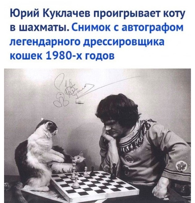 16 познавательных исторических фото, проливающих свет на прошлое, показывая, как всё было устроено раньше