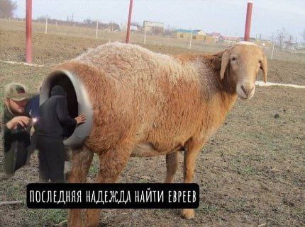 Отряд быстрого деградирования
