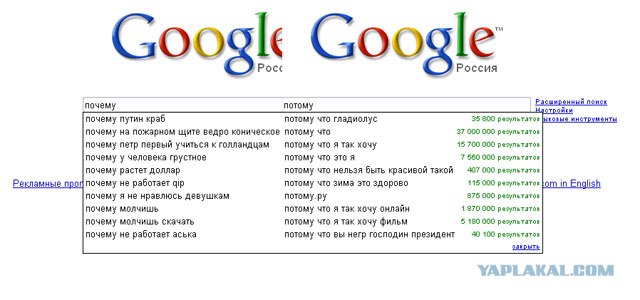 Различие между мужчиной и женщиной