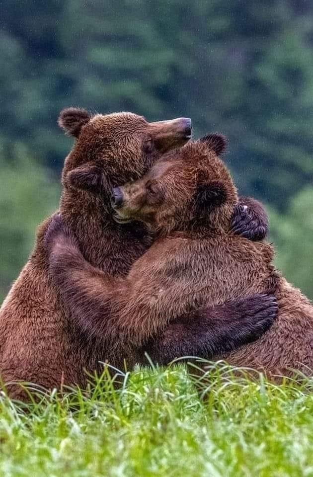 ФотоВинегрет
