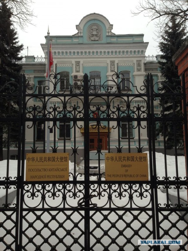 Приключения китаянки на Украине