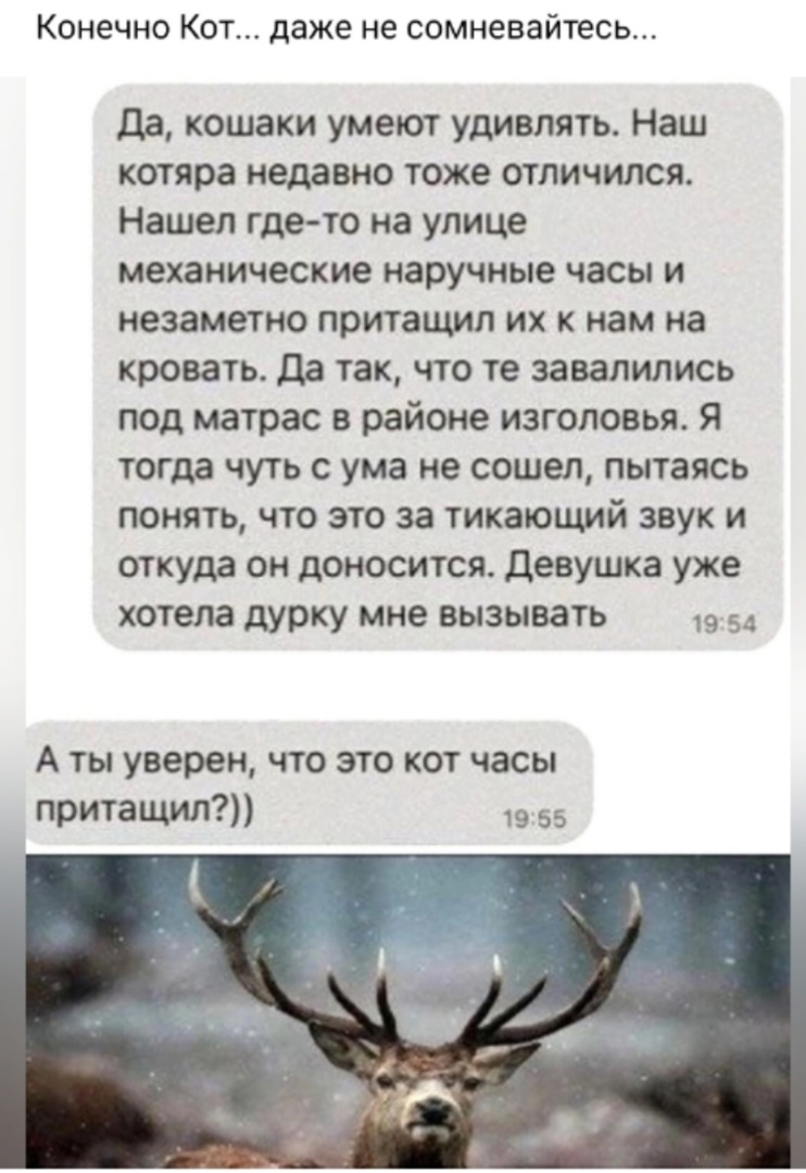 19499926.jpg