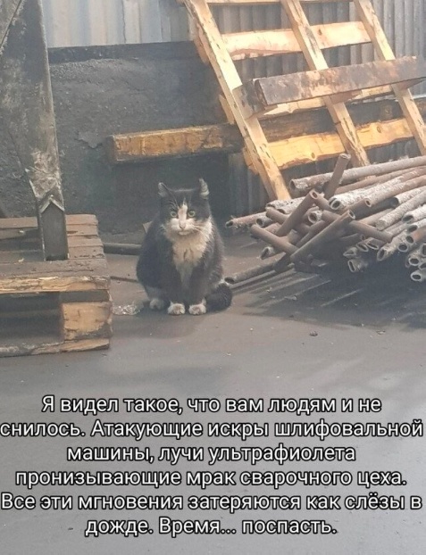 Так себе картинки 24.11.24