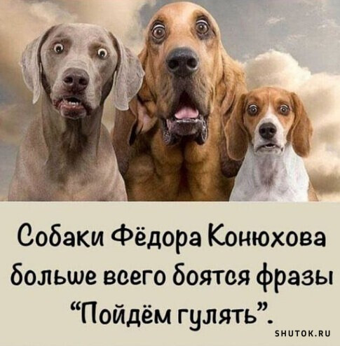 Легендарный российский путешественник Фёдор Конюхов начал самостоятельный переход на вёсельной лодке из Аргентины в Австралию