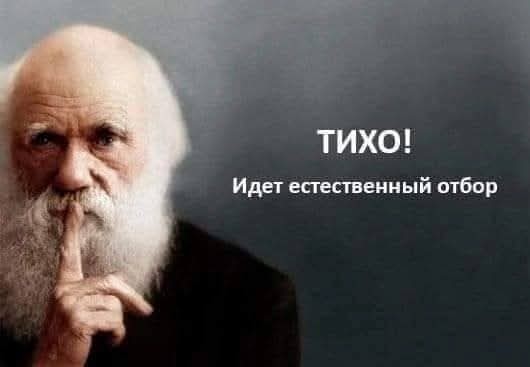 Так себе картинки 22.12.24