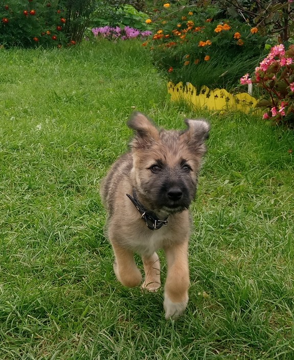 Веселые картинки в пятницу (18.02)