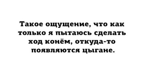 Веселые картинки в маленькую пятницу (13.08)