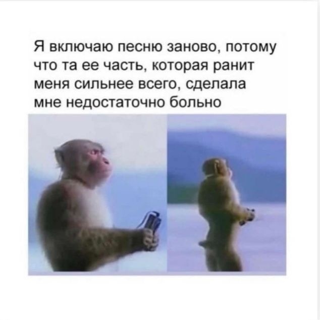 Воскресные картинки