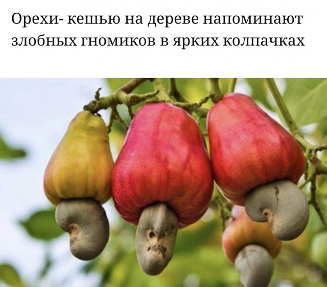 Понедельника картинки