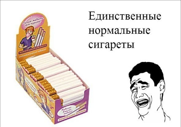 Торседор