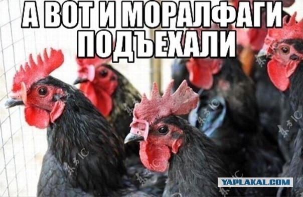 Отправил к праотцам
