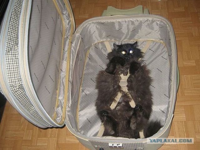 Вот это поворот!