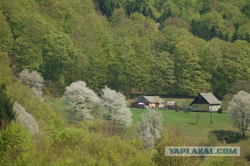 Западная Украина. Край где живут облака.