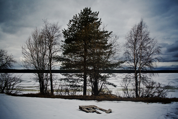 Скоро зима, товарищи !