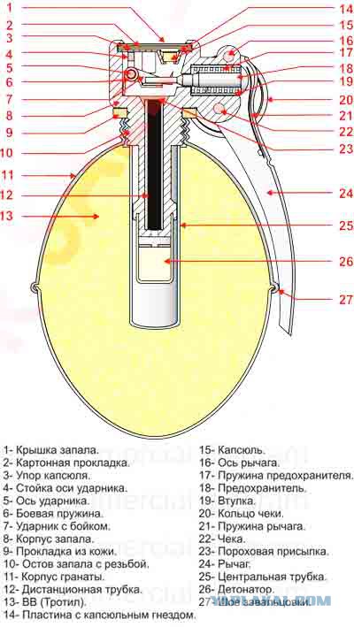 Майданутые на учениях