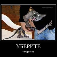 Иван Петров - продавец (сдатель на хранение) 80lvl