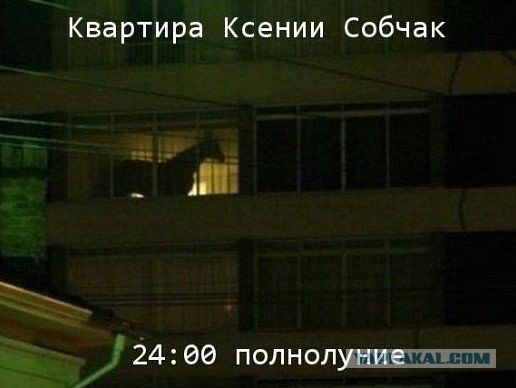 Картинки