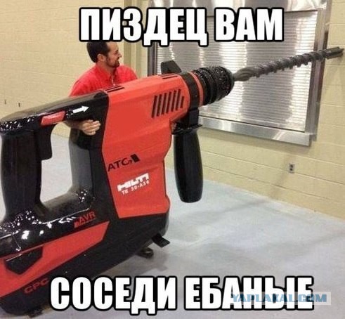 Понимающий сосед