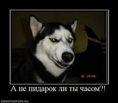 Отдохнувшая Аня