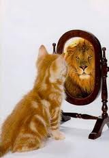 Добряки, плюсующие всех подряд