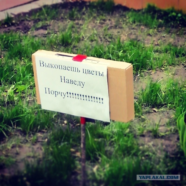 Жемчужина Казахстана! Almaty Tapok Edition