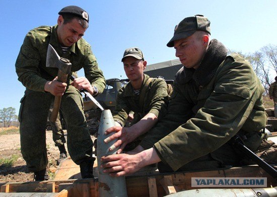 Нашел на дачном участке.
