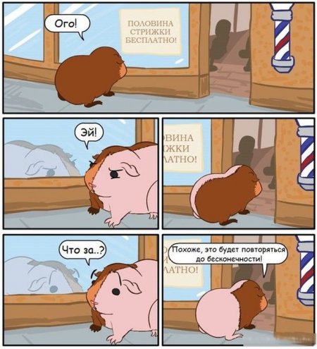 Прикольная пятницо