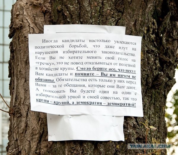 Ну все, теперь-то заживем как в сказке
