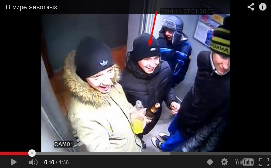 Пьяные малолетки громят лифт в Перми