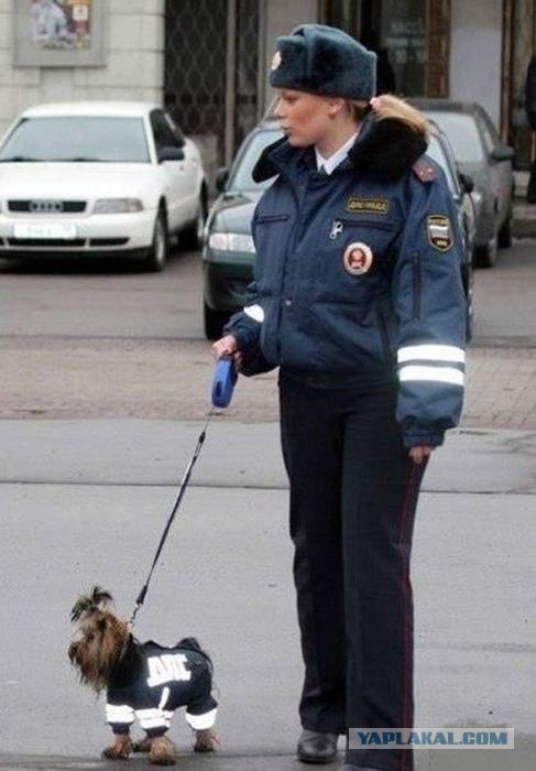 Менты РФ