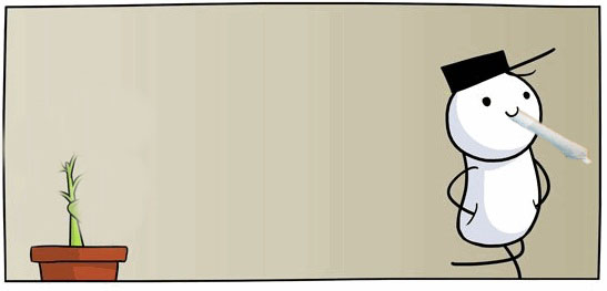 Разговор с цветком