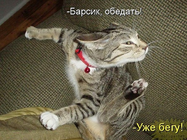 Картинки разные