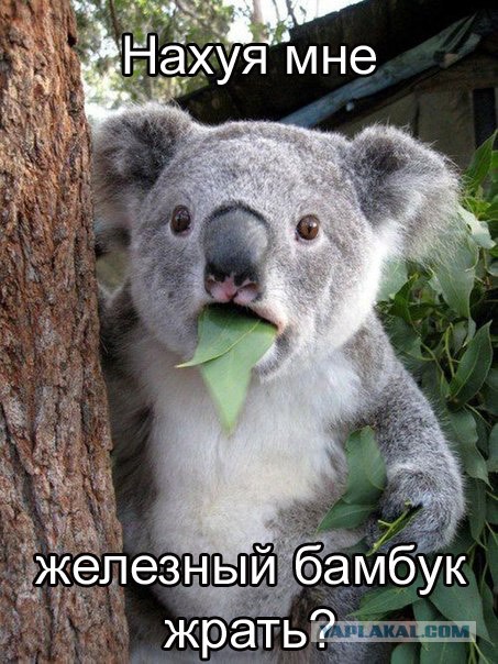 Как вырастить бамбук из металла