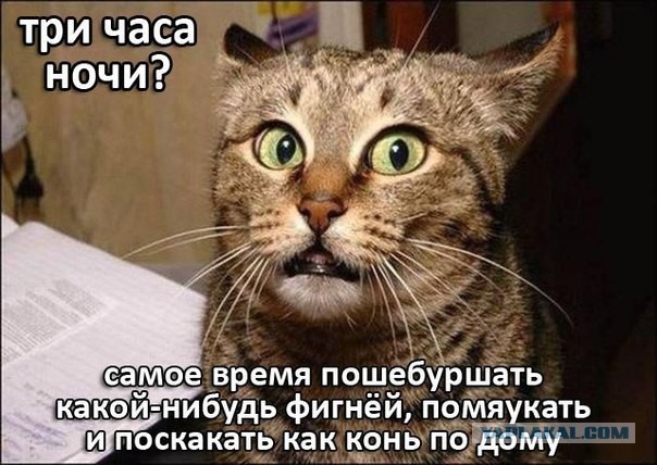 Веселости